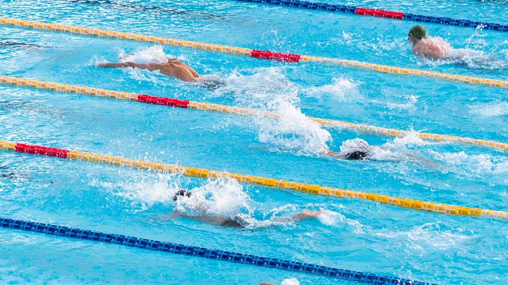Cursos natación perfeccionamiento